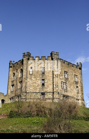 Il mastio del castello di Durham. Oggi il castello ospita studenti provenienti da Università di Durham. Foto Stock