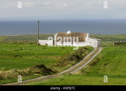 Tradizionale cottage irlandese in paglia vicino a Doolin e alle scogliere di Moher. Contea di Clare, Irlanda Foto Stock