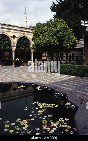 La siria a Damasco il Azam Palace fiori galleggiante su un pool nel sublime Azem Palace Foto Stock