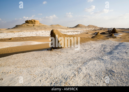 Chiusura del singolo , yardang yardang campo , Dakhla Oasis, Egitto , Africa del Nord Foto Stock