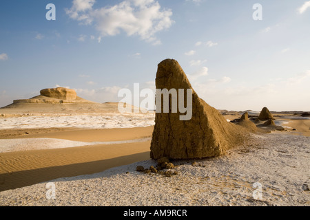 Chiusura del singolo , yardang yardang campo , Dakhla Oasis, Egitto , Africa del Nord Foto Stock