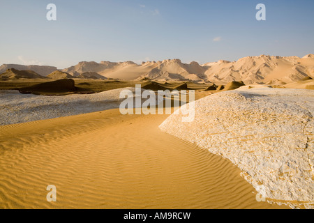 Bianco di intrusione di calcare sul bordo del campo yardang Dakhla Oasis , Egitto , Africa Foto Stock