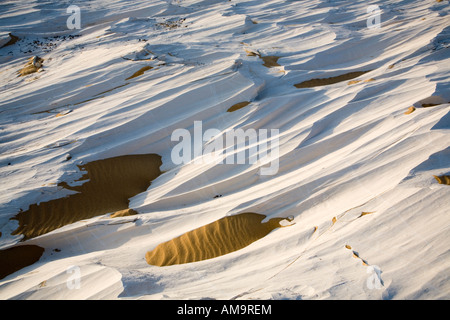 Close up di vento eroso calcare bianco, Yardang Campo, Dakhla Oasis, Egitto Foto Stock