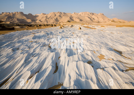 Close up di vento eroso calcare bianco, Yardang Campo, Dakhla Oasis, Egitto Foto Stock