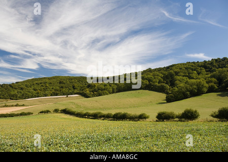 West Sussex South Downs NP Didling Hill e ribaltabile verso il basso Foto Stock