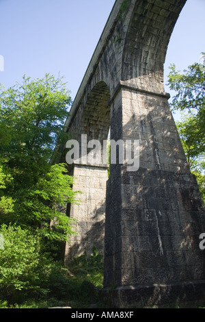 Treffry Aquaduct in Valle Luxulyan Foto Stock