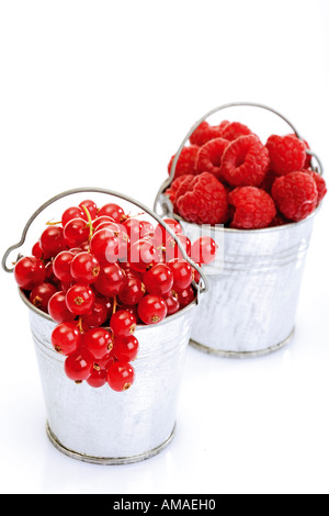 Correnti di rosso e lamponi nel secchio di zinco Foto Stock