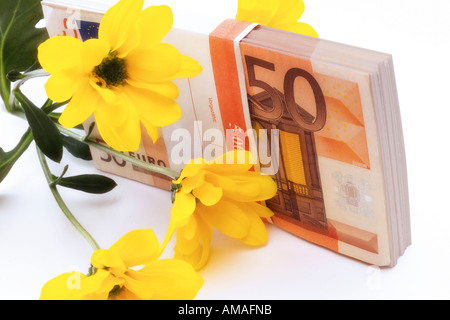 Di banconote in euro e fiore giallo, close-up Foto Stock