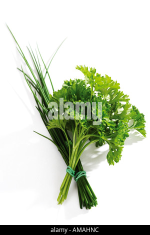 Erba cipollina, il prezzemolo, Allium schoenoprasum, Petroselinum crispum Foto Stock