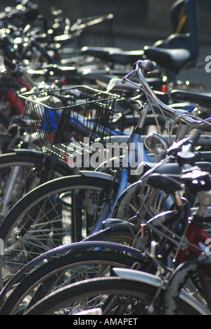 Le biciclette parcheggiate in una riga nel centro di York Foto Stock