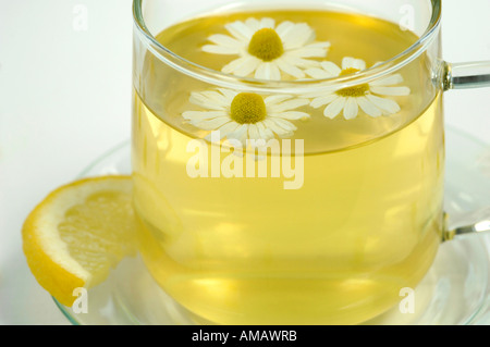 La camomilla tè in tazza con fiori e limone, close-up Foto Stock