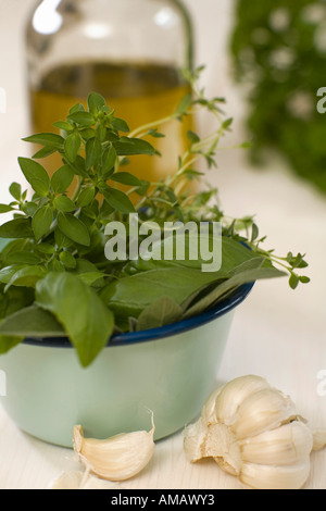 Erba-l'olio aromatizzato e varie erbe in vaso Foto Stock