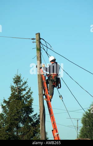Società elettrica ingegnere di lavoro sulla scaletta nella parte superiore del palo di supporto cavi aerei per abitazioni civili in area rurale Essex England Regno Unito Foto Stock