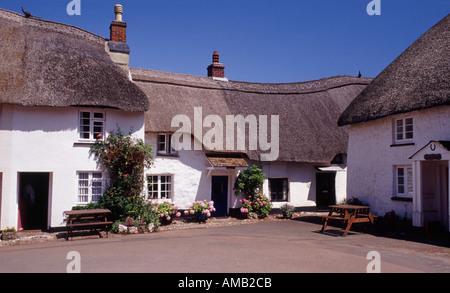 Speranza interna Devon England Regno Unito Foto Stock