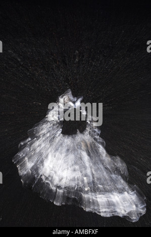 Scultura di ghiaccio Foto Stock