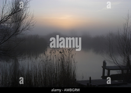 Sunrise a nebbia in Frisia, Paesi Bassi, Frisia Foto Stock