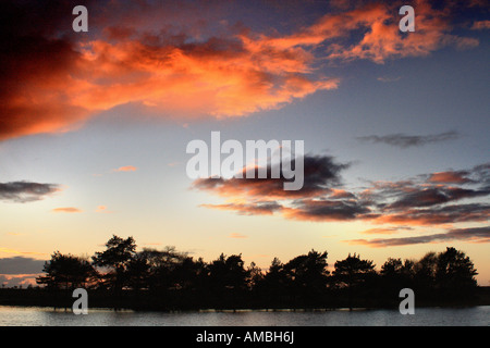 HATCHET STAGNO, New Forest, INGHILTERRA Foto Stock