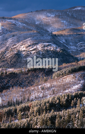 Le montagne in inverno vicino a Steamboat Springs Colorado USA Foto Stock