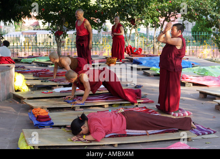 India, Bodhgaya,: buddista pellegrini prostrati intorno al tempio di Mahabodhi a Bodhgaya,, il luogo del Buddha Illuminismo Foto Stock