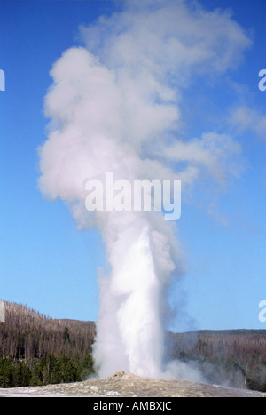 Parco Nazionale di Yellowstone - geyser Old Faithful - USA Foto Stock