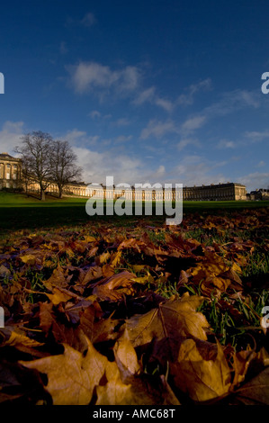 Foglie di autunno e cielo blu il telaio il famoso Royal Crescent nella città di Bath Somerset. Foto da Jim Holden. Foto Stock