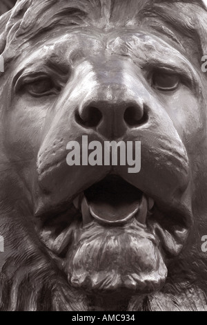 Lion statua Trafalgar Square London Inghilterra England Foto Stock