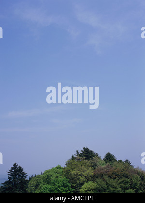 Mt. Takao, Prefettura di Tokyo, Giappone Foto Stock