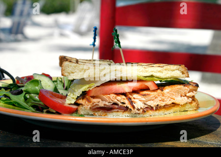 Un salmone gourmet sandwich di pesce serviti in un outdoor cafe tropicale Foto Stock