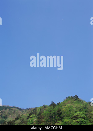 Mt. Takao, Prefettura di Tokyo, Giappone Foto Stock