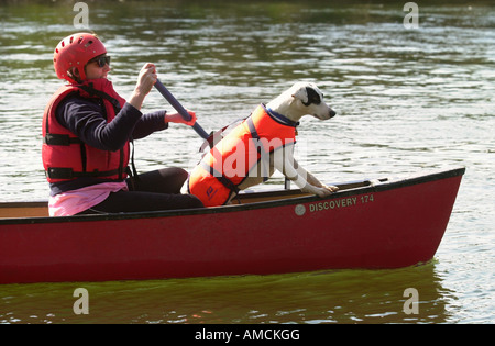 Il fiume Wye intorno a Ross on Wye un cane gode di un giro in canoa sul memorandum di Wye vicino WALFORD Foto Stock