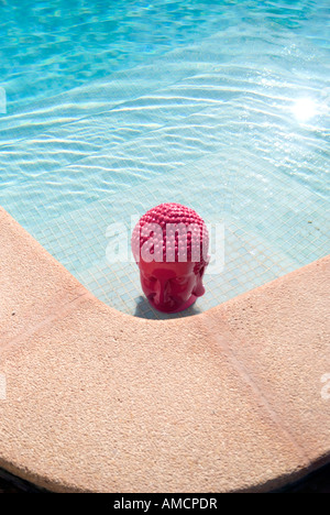 Guardando verso il basso in corrispondenza di una rosa di testa di buddha nella luce del sole su un angolo passi di una piscina privata Foto Stock