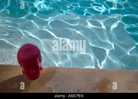 Un primo piano di una rosa di testa di buddha con una piscina privata in background Foto Stock