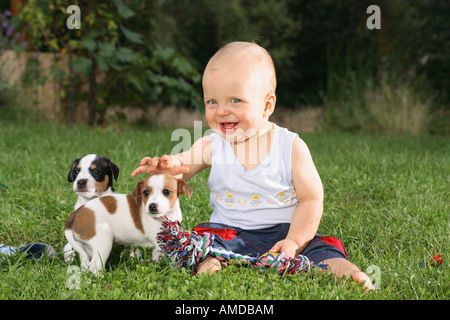 Ragazzo con due Jack Russell Terrier cuccioli di cane Foto Stock