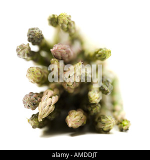 Mazzetto di asparagi spears close-up Foto Stock