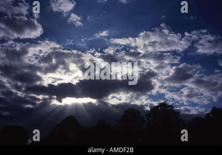 Nuvole con raggi di sole che risplende su di una fila di alberi, London, England Regno Unito Foto Stock