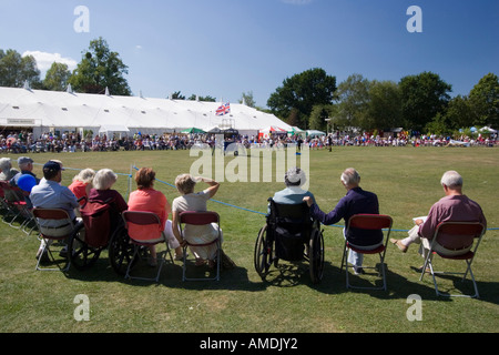 Spettatori a Taunton flower show Foto Stock