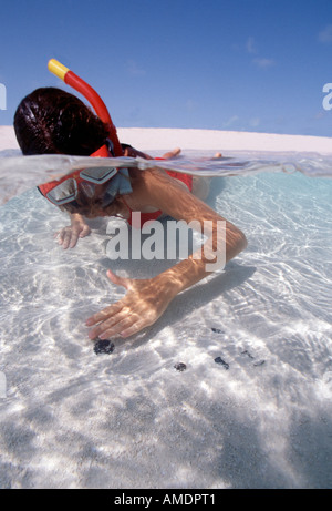 Turks Caicos Provo sotto oltre snorkeler scopre le monete spagnole in acqua poco profonda Foto Stock