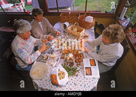 Tre donne ordinamento, Pulitura e taglio appena raccolto funghi e funghi a casa in Svezia Foto Stock