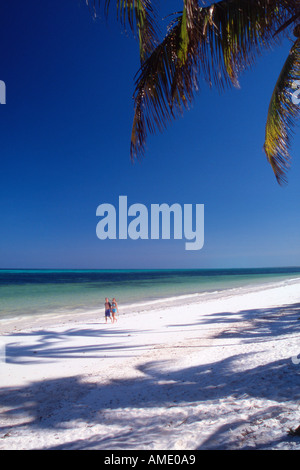 Tanzania Zanzibar Bweju spiaggia lungo la costa est Foto Stock