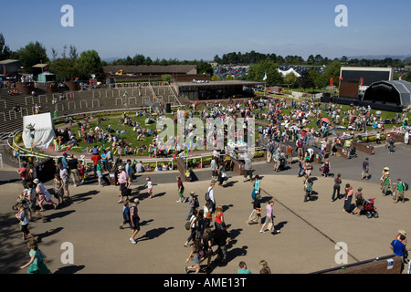 Folle a Greenbelt Festival 2007 ippodromo di Cheltenham Regno Unito Foto Stock