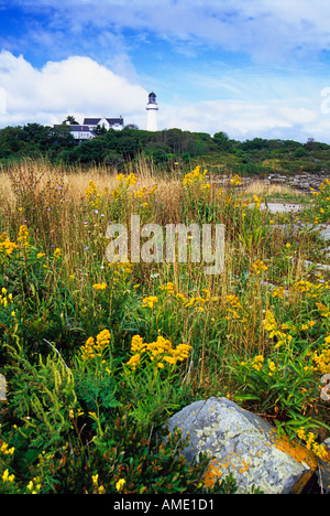 Portland Head Light, Fort Williams Park, Cape Elizabeth, Maine, Stati Uniti Foto Stock