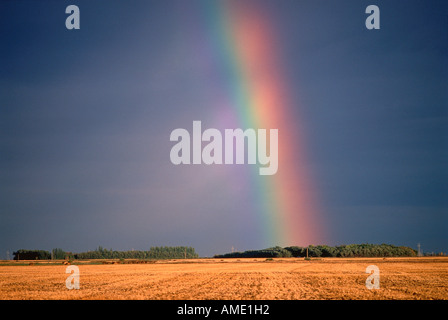 Rainbow nel campo Saskatchewan, Canada Foto Stock