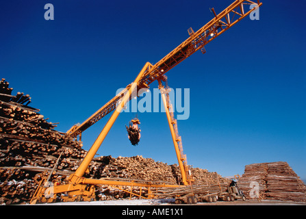 Mulino di polpa di cantiere di registro Foto Stock