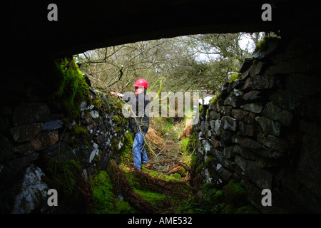 Wil Jones Forest Enterprise Expert in cave di ardesia esamina un acqua adit presso il vecchio Bryn Eglwys cava di ardesia Abergynolwyn Foto Stock