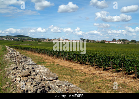 Paese vinicolo di Meursault e vigneti di Côte de Beaune Regione del Vino della Francia Foto Stock