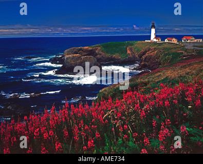 Testa Yaquinna Lighthouse vicino a Newport sulla centrale di Oregon Coast con fireweed selvatici in fiore Foto Stock