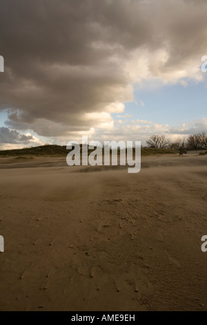 Ventoso vista sui Grandi Laghi beach Foto Stock