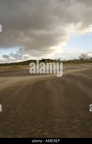 Vista verticale di Ventoso spiaggia di sabbia con grande formazione cloud Foto Stock