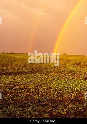 Rainbow su campo nei pressi di Sherwood Park Alberta, Canada Foto Stock