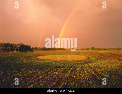 Rainbow su campo nei pressi di Sherwood Park Alberta, Canada Foto Stock